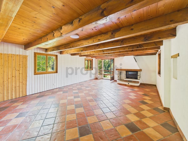 Maison villageoise de 3 appartements (2x 3.5 pces et 1x 2.5 pces) au calme absolu 2