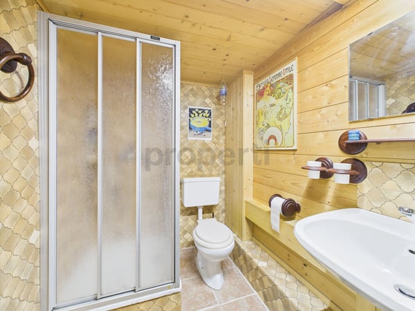 Chalet fascinant avec charme et histoire à Les Diablerets, VD 11