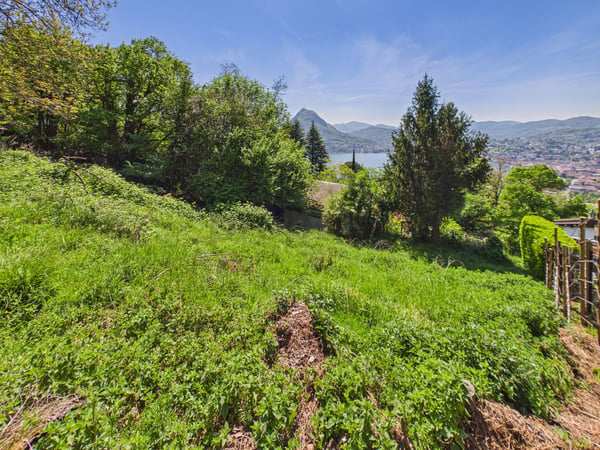 Ampio terreno edificabile vista lago in zona tranquilla, Viganello 10