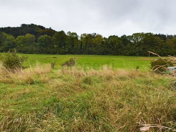 Vielseitiges Baugrundstück in Mischzone M2 - 648 m² für Wohnen & Gewerbe in Riedtwil 6