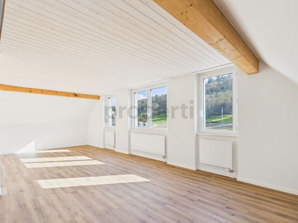 Charmante 4-Zimmer-Maisonette-Wohnung mit Dachgeschoss-Charme in Feuerthalen 9