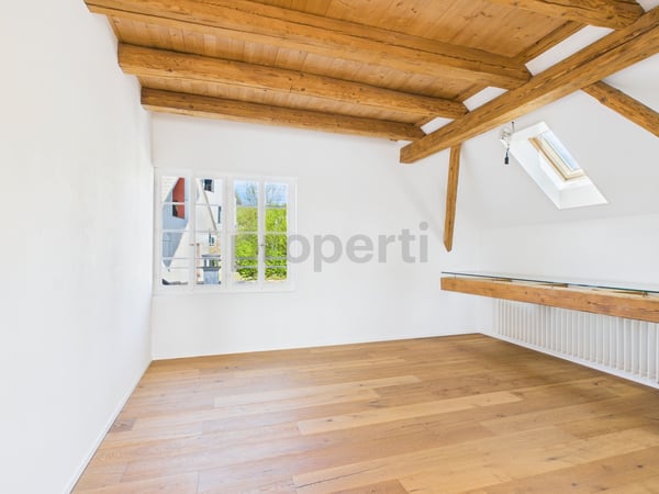 2.5 Zimmer Wohnung - ein einzigartiges Zuhause, das Geschichte und Moderne vereint 2