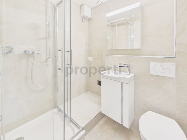 Neu renovierte 1.5-Zimmer-Wohnung mit Balkon, Luzern 7