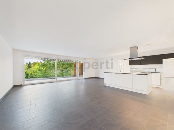 Moderne 4.5-Zimmer-Wohnung mit Balkon, Dachsen 1