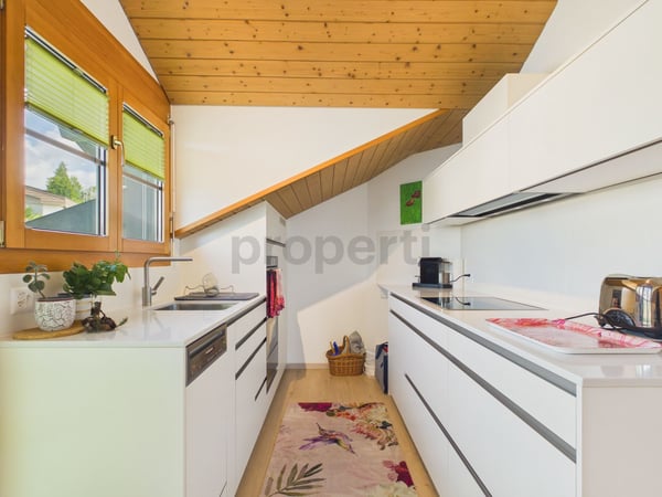 Balkon mit Sempacherseeblick, frisch renoviert und eigener Waschturm 4