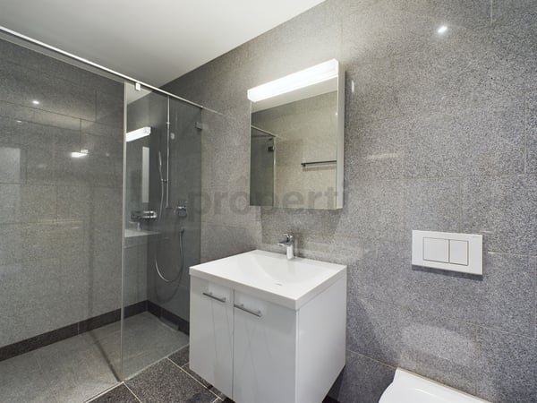 Moderne Familienwohnung mit beeindruckendem Weitblick und Minergie-Standard 8