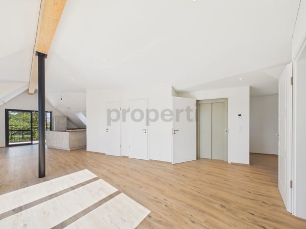 Attikawohnung direkt am Waldrand mit Zürichseeblick, Minergie-Standard und Free-Cooling 5