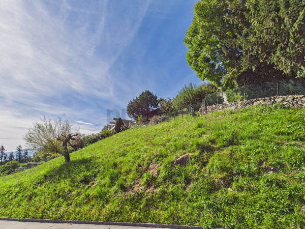 Terreno edificabile vista lago - Opportunità di sviluppo residenziale 8
