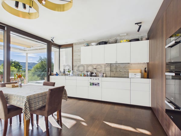 Exklusive Terrassenwohnung mit Blick ins Grüne und auf die Limmat, eine Oase mit privatem Pool und grosszügigen Räumlichkeiten 4