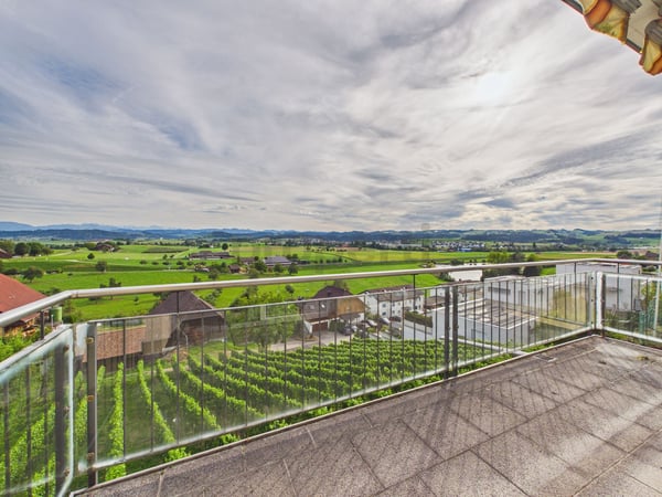 Wohnen mit Weitsicht - grosszügiges Zuhause mit drei Wohneinheiten und traumhaftem Bergpanorama 12