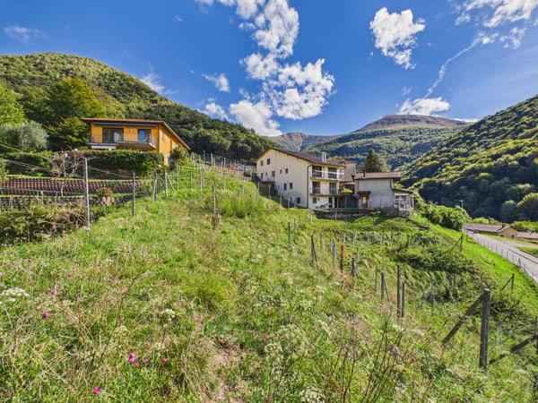 Ampia Superficie Edificabile di 1'389 m², Elevato Potenziale & Posizione Panoramica! 1