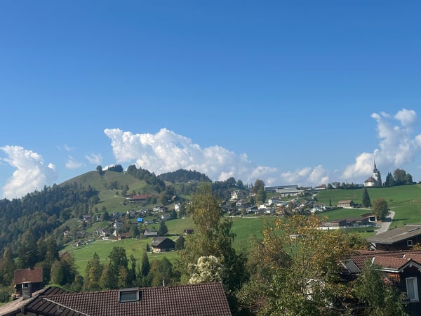 Modernes Neubau-Einfamilienhaus in naturnaher Umgebung 9