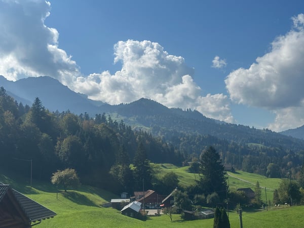 Modernes Neubau-Einfamilienhaus in naturnaher Umgebung 5