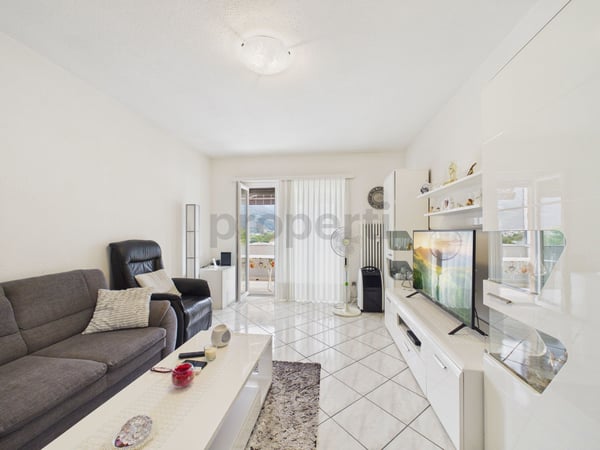 Vista panoramica sui castelli di Bellinzona, cucina rinnovata ed eccellente tranquillità 6