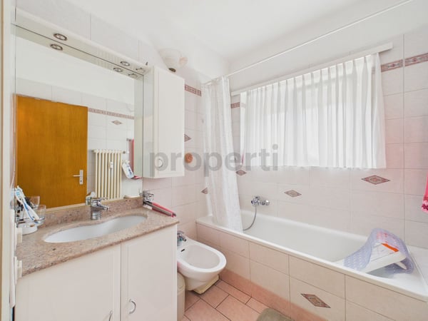 Vista panoramica sui castelli di Bellinzona, cucina rinnovata ed eccellente tranquillità 10