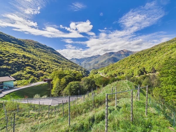 Ampia Superficie Edificabile di 1'389 m², Elevato Potenziale & Posizione Panoramica! 4