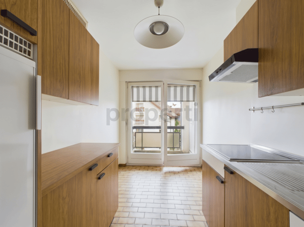 Balcon de 20 m², Cheminée, Box Fermé, Parking Extérieur & Rendement Stable à Choulex ! 2