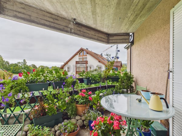Balcon de 20 m², Cheminée, Box Fermé, Parking Extérieur & Rendement Stable à Choulex ! 10