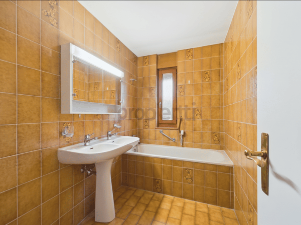Balcon de 20 m², Cheminée, Box Fermé, Parking Extérieur & Rendement Stable à Choulex ! 8