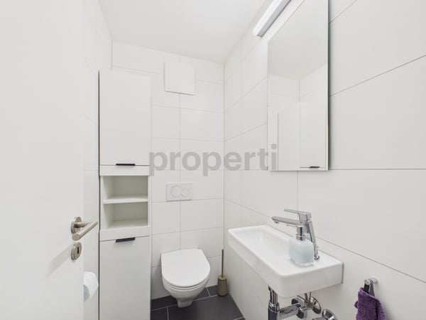 Ein Zuhause mit Horizont - Exklusive Seesicht in Rorschacherberg 9