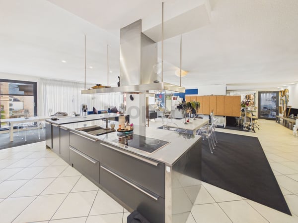 Plus de 380 m² Habitables & Emplacement Prisé au C?ur de Montreux! 2