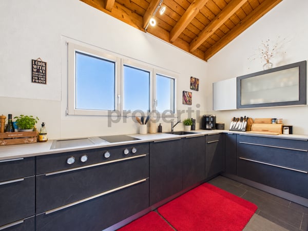 Exklusives Attika-Penthouse mit Traumterrassen - Panoramablick über den Dächern 4