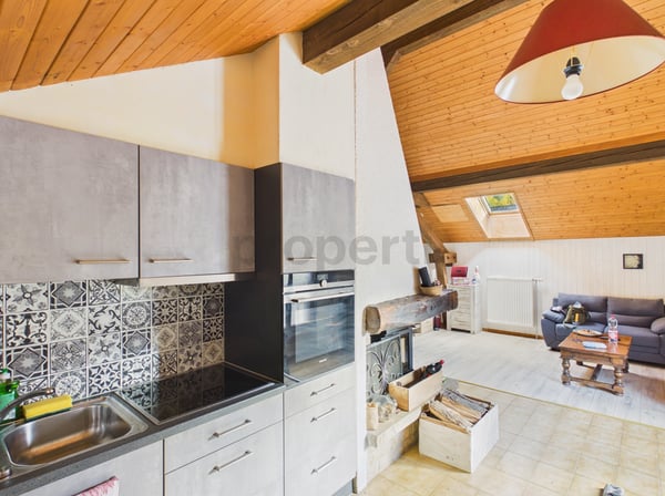 Goumois - Une adresse emblématique au bord du Doubs, un lieu à réinventer// Historischer Charme, direkte Lage am Doubs & vielseitige Nutzungsmöglichkeiten! 9