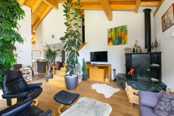 Modernes rustikales Einfamilienhaus 2