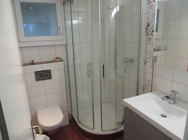 Familien DEFH mit grossem Garten 14