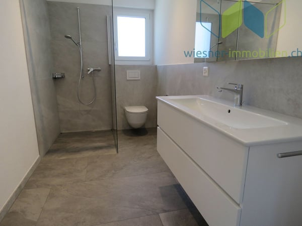 3½ Zimmer Attikawohnung mit sehr grosser Dachterrasse 11