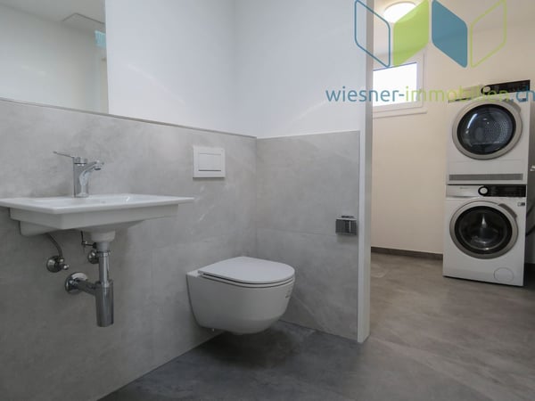 3½ Zimmer Attikawohnung mit sehr grosser Dachterrasse 10