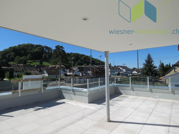 3½ Zimmer Attikawohnung mit sehr grosser Dachterrasse 4
