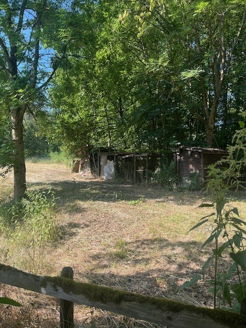 Idyllische Blockhütte im Grünen 7