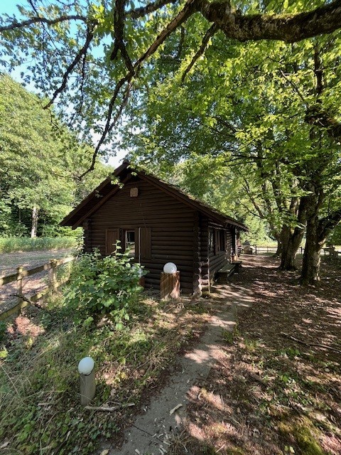Idyllische Blockhütte im Grünen 6