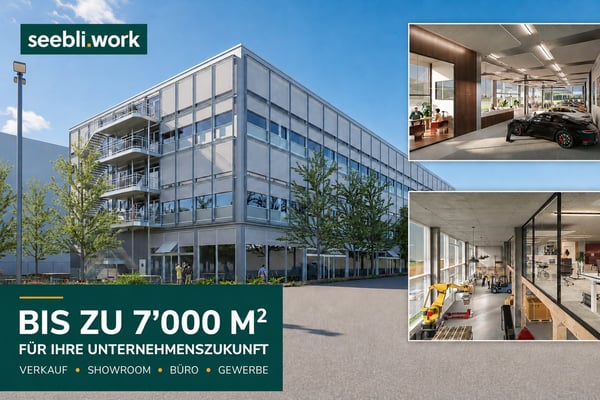 seebli.work: hier kann Ihr Unternehmen wachsen! 1