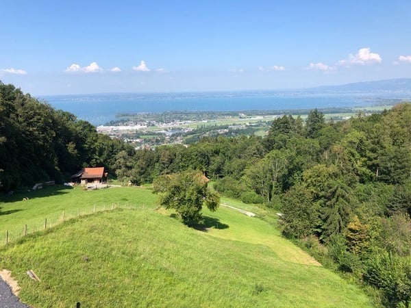 Einmalige Idylle an wunderschöner Aussichtslage oberhalb des Bodensees! 13