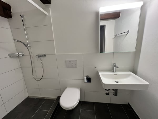 Schöne 2.5-Zimmerwohnung zu vermieten 9