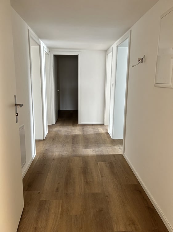Erster Mietzins geschenkt: Neu sanierte 3.5-Zimmerwohnung zu vermieten 11
