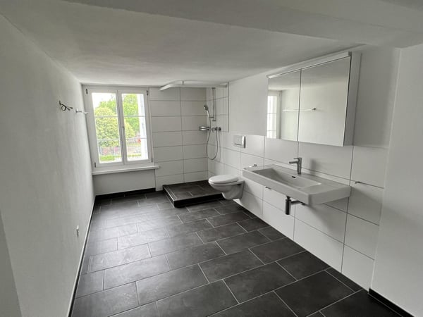 Erster Mietzins geschenkt: Neu sanierte 3.5-Zimmerwohnung zu vermieten 3