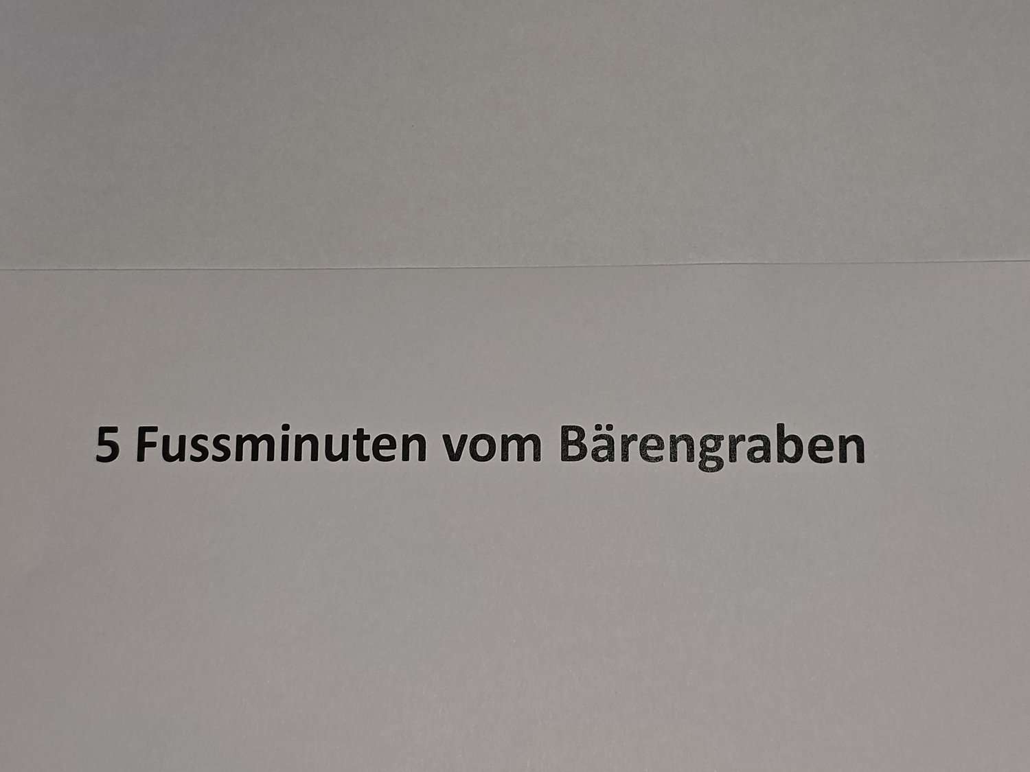 Text that says, '5 Fussminuten vom Bärengraben'