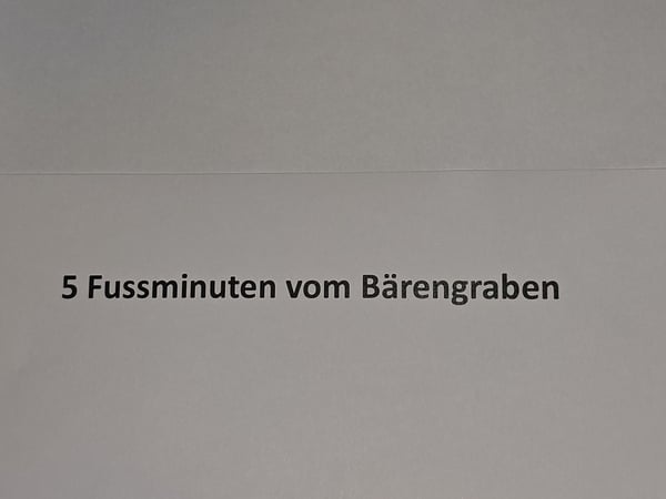 5 Fussminuten vom Bärenpark 1
