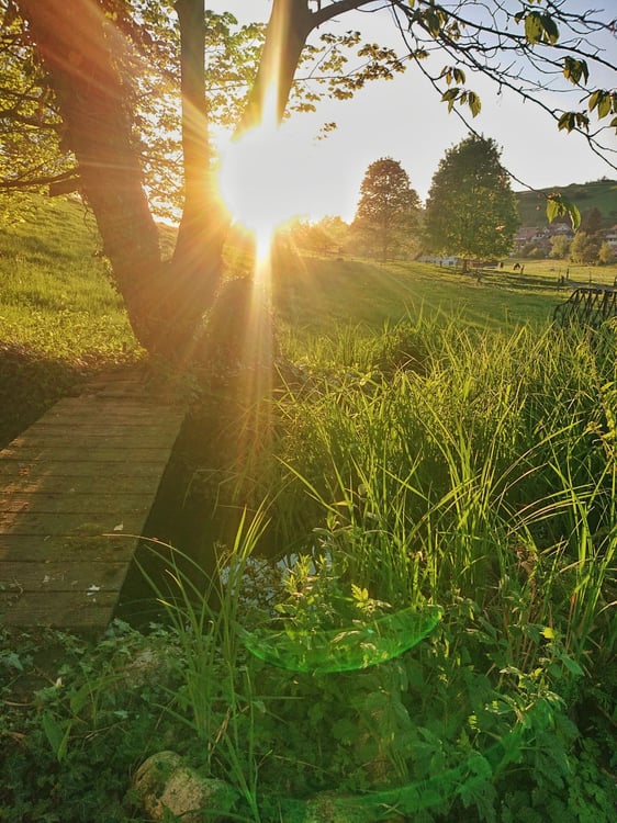 Top 9 1/2 Zimmer Einfamilienhaus im Grünen 9