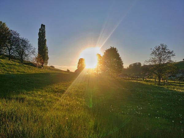 Top 9 1/2 Zimmer Einfamilienhaus im Grünen 8