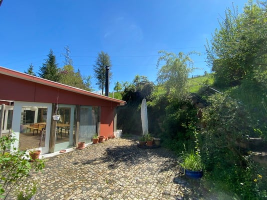 Top 9 1/2 Zimmer Einfamilienhaus im Grünen 19