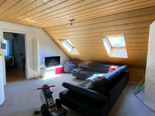 Top 9 1/2 Zimmer Einfamilienhaus im Grünen 17
