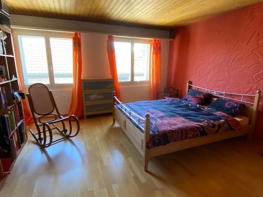 Top 9 1/2 Zimmer Einfamilienhaus im Grünen 16