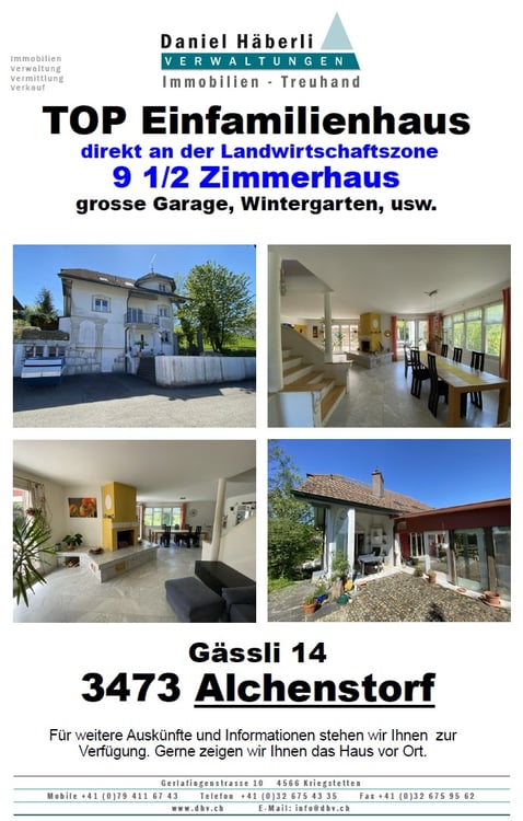 Top 9 1/2 Zimmer Einfamilienhaus im Grünen 1