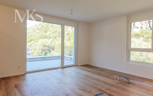 Grosszügige und gemütliche 4.5-Zimmer-Attikawohnung - Wohnen und geniessen 9