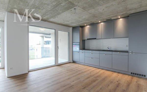 Grosszügige 1.5 Zimmer Wohnung in Visp 4
