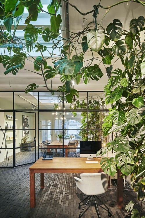 Arbeitsplätze im grünen Designbüro